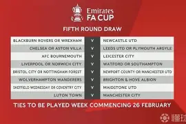 包含足总杯赛程吃紧；法兰克福窗口期止住颓势；气氛紧张；阵容厚度经受考验的词条